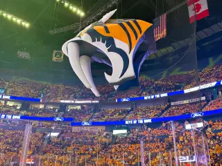 Photo of the Predators entry item