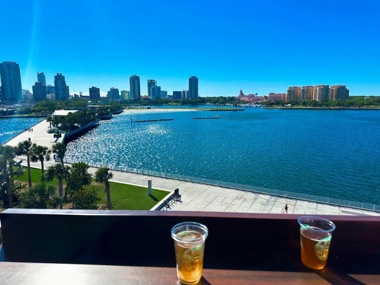 Photo of two beers and the St. Pete Skyline